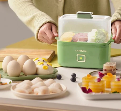 Automatic power-off multi-functional household dormitory breakfast small egg steamer J03
