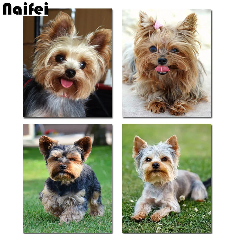 diy Diamond Painting Yorkshire Terrier Cross Stitch Full Kits 5D Diy