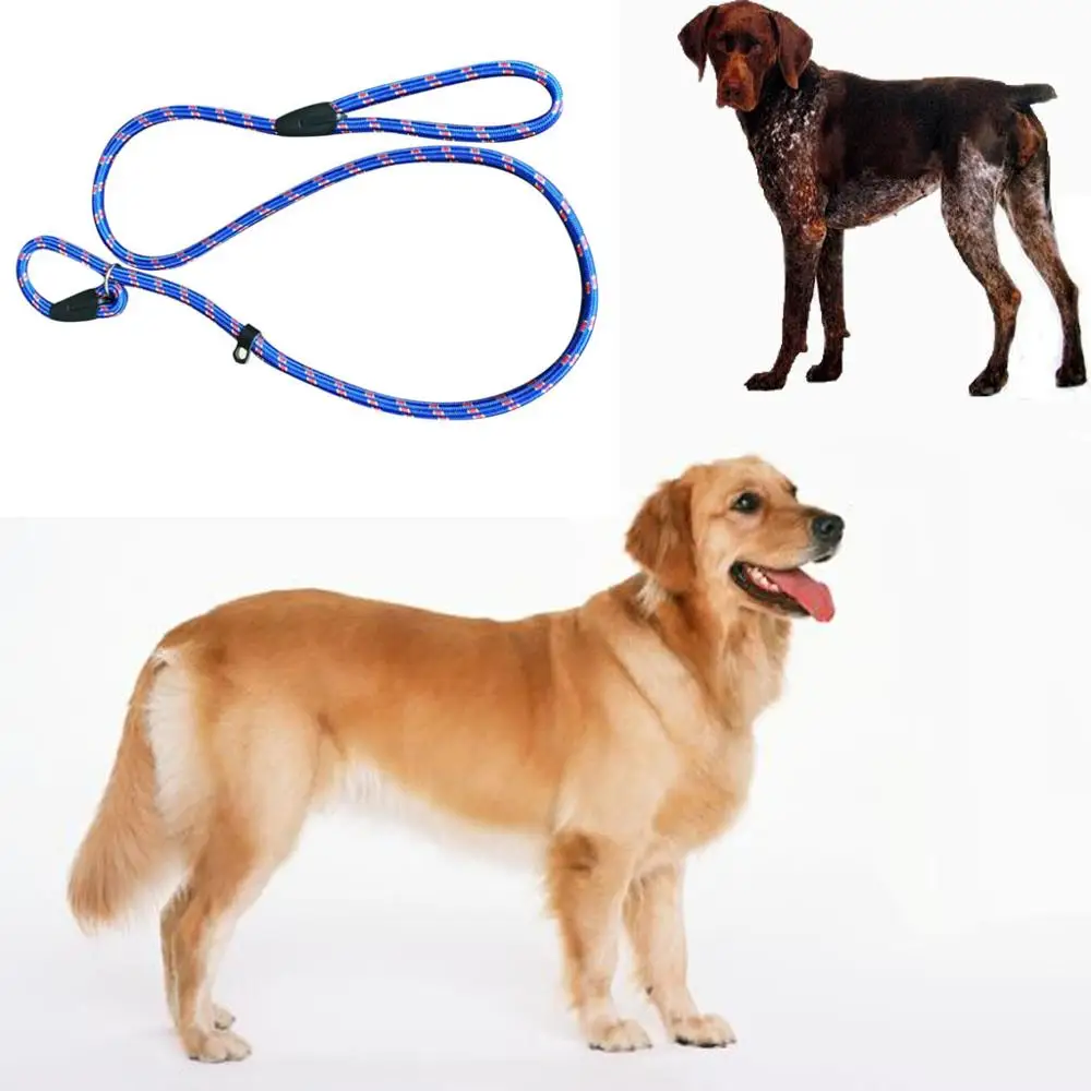 dog leash running walk train for large small cat pets Leashes dogs