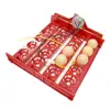 20 Egg Incubator Turn Eggs Tray Chicken Bird Duck Goose Pigeon Quail Automatic Incubator Farm Animal Poultry Incubator Equipment ► Photo 3/6