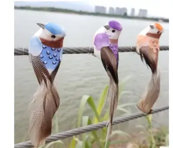 

Factory direct Paw money Paws paragraph binding mall decorative feathers dove planting bird world famous creative