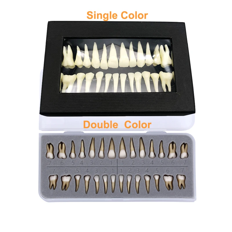 Рисунок 3 - Полноразмерная модель зубных протезов