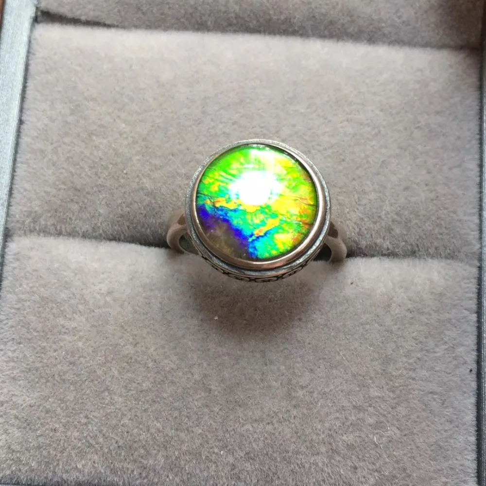 IMG_7788(20200211-170301)