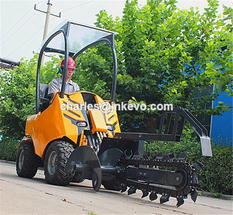 200 mini loader (54)