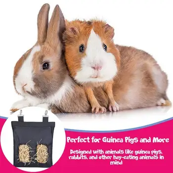 

Little Giant Plastic Cage Mount Rabbit Hay Rack Chinchilla Guinea Pig Pet Feeder M1Y0
