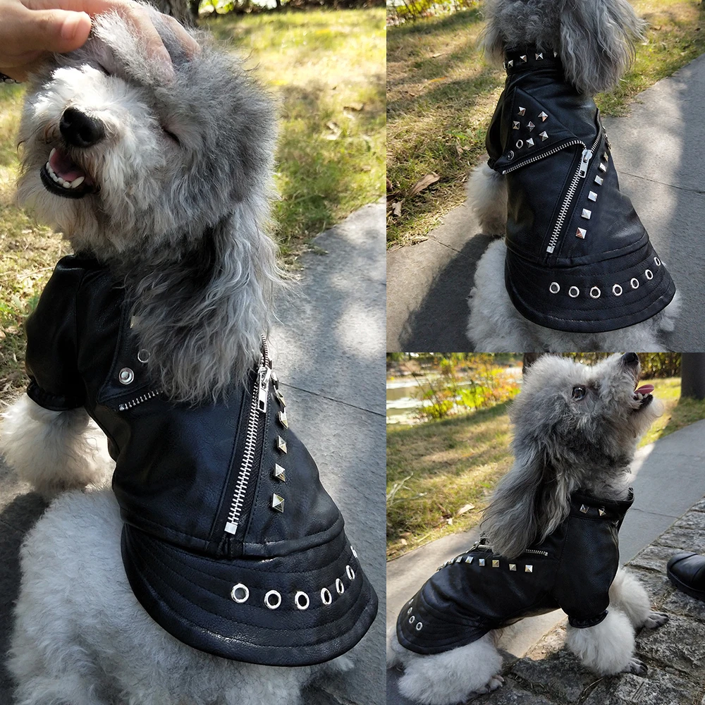 Giacca in pelle per animali domestici Abbigliamento invernale impermeabile per  cani Cappotto invernale caldo in autunno