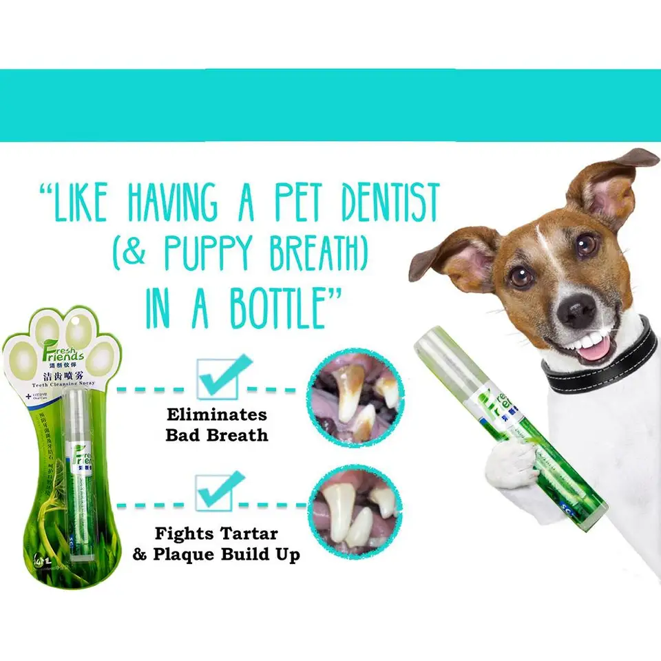 plaque cleanse for dogs