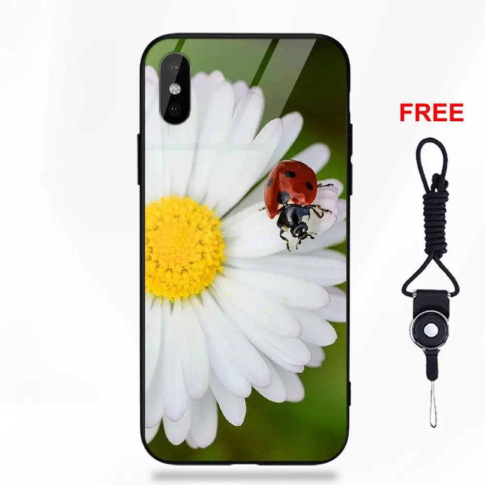 Красивый солнцезащитный Daisies с ромашками для Apple iPhone X XS Max XR 5 5C 5S SE 6 6S 7 8 Plus