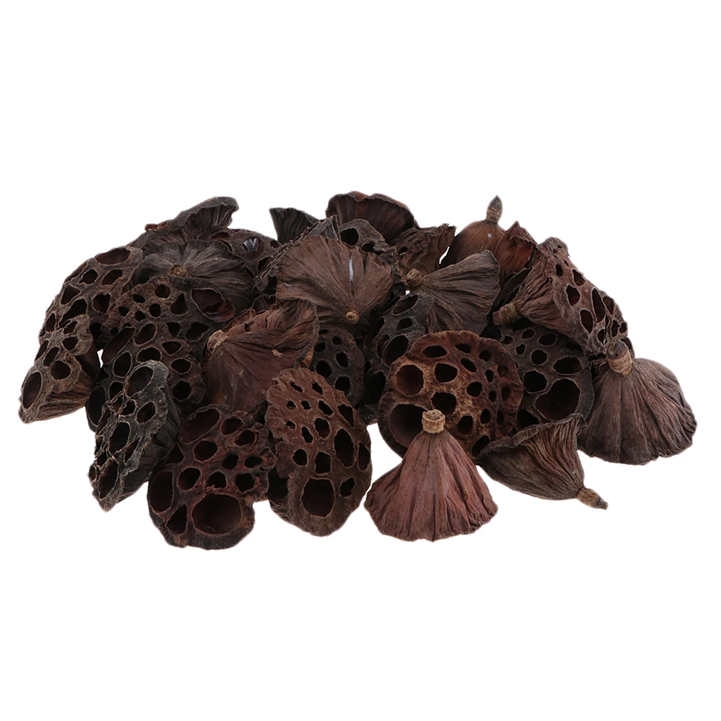 30x Natural Dried Lotus Pod Flowers /Fruit For Xmas Floral Decor Crafts DIY