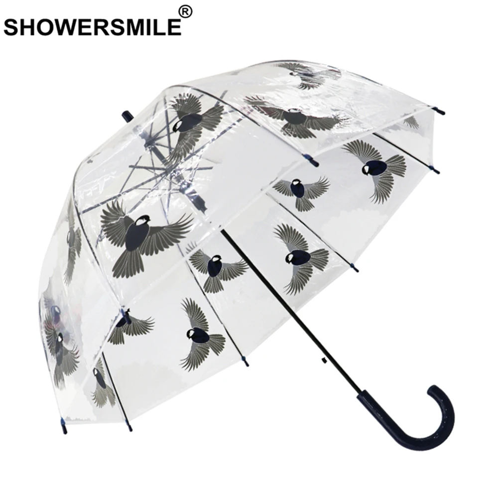 SHOWERSMILE Clear Umbrella Rain Women Long Handle Transparent Umbrella Automatic Ladies Hanging Bird Hand Painted Umbrellas