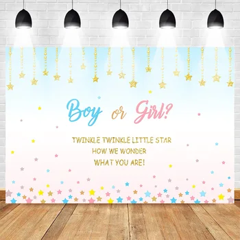 

Mehofoto Twinkle Twinkle Little Star Gender Reveal Backdrop Gold Star Pink Blue Photo Background Newborn Baby Shower Backdrops