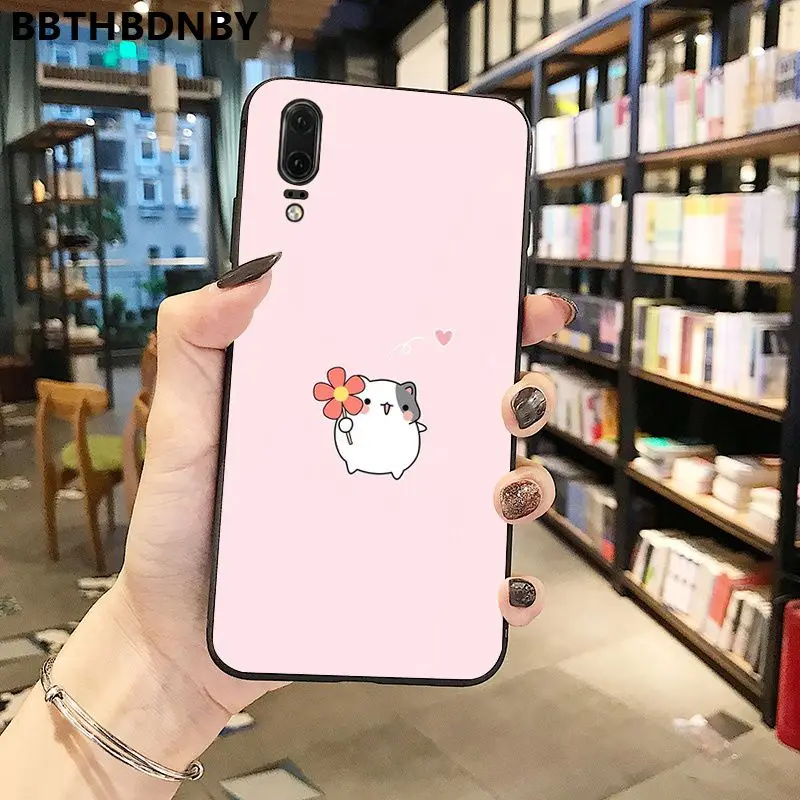 Hamster