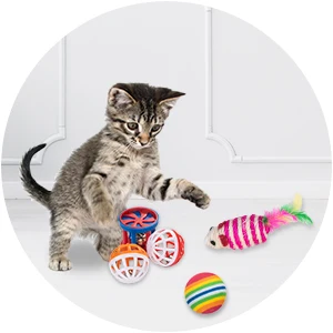 Kitten Toys Variety Pack-Pet Cat Toy Combination Set Cat Toy Funny Cat Stick Sisal Mouse Bell Ball Cat Supplies 20/21 Piece Set