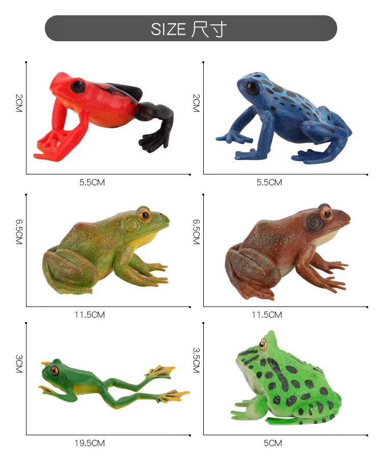 IMG_8119(20200801-160753)