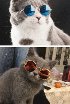 

Pet Glasses Cat Sunglasses Pet Anti Ultraviolet Glasses Windproof Trend Cool Accessories Protective Glasses