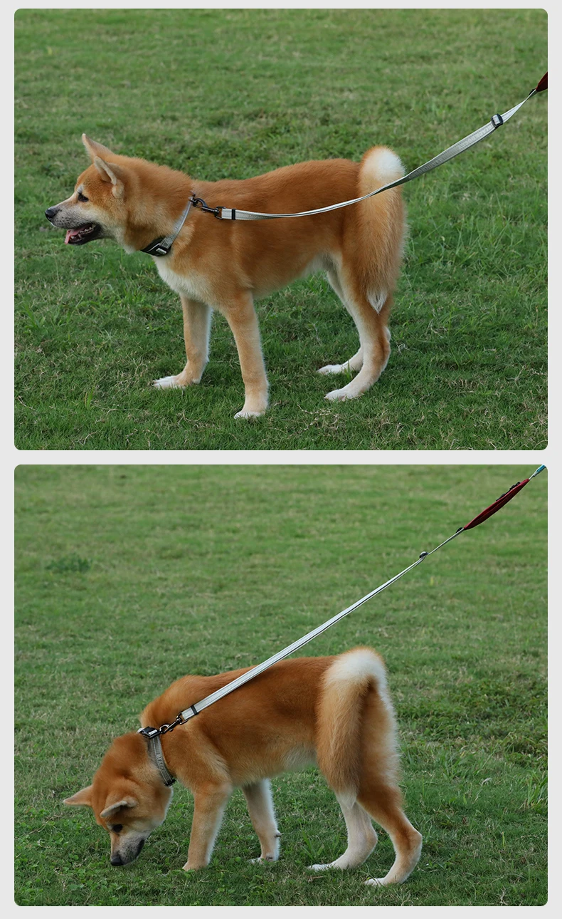 Fenice profissional respirável confortável pet coleira de cão ao ar livre