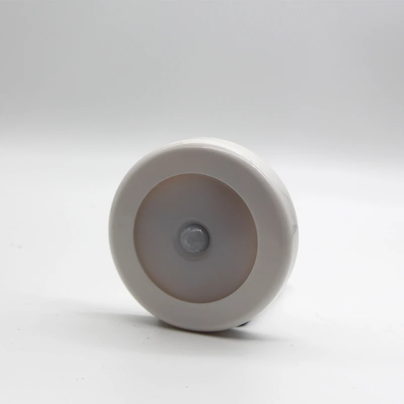 White shell