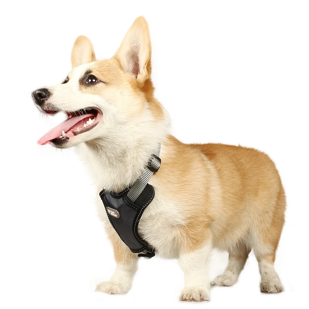 TUFF HOUND поводок для собак, не тянет, эластичная ручка, регулируемый ремень для маленьких, средних и больших собак, удобный жилет