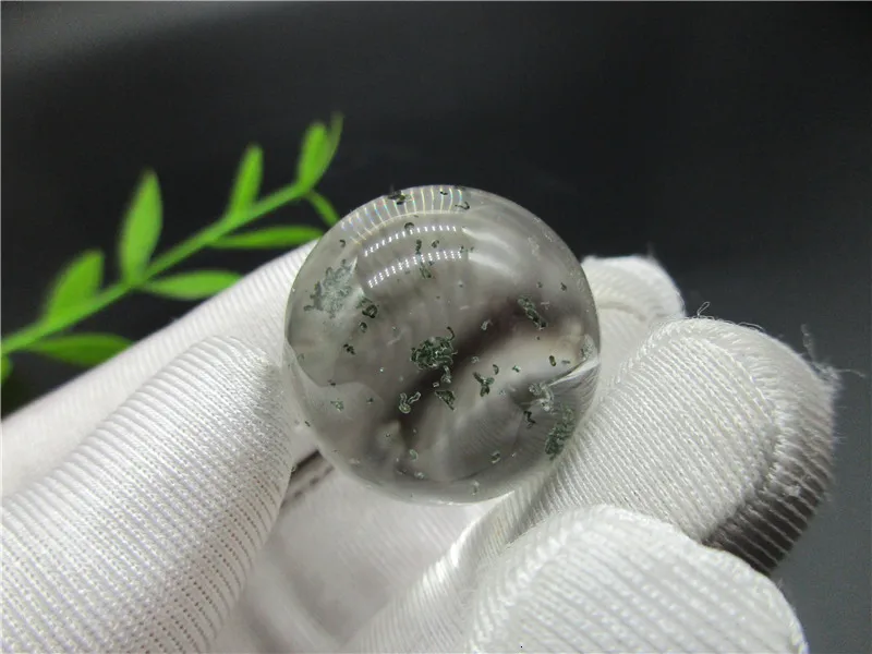 IMG_2866