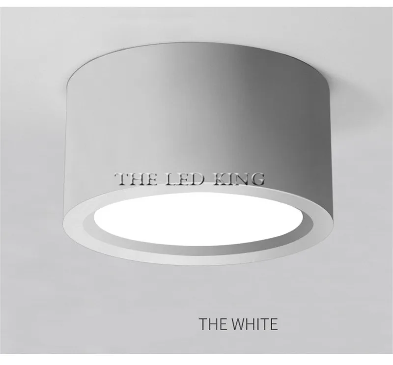 smart led downlights Ultra Thin Ceiling Lighting Surface Mounted Led Ceiling Lights Luminaire for Living Room Bed Room Hall Modern Led Ceiling Lamps recessed downlight