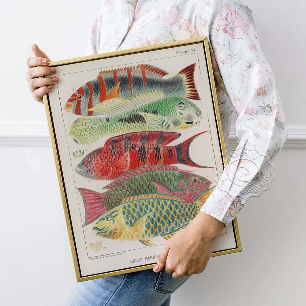 

Fish Oceanographic Museum Biology Exhibition Art Poster, Kindergarten Kids Room Decor Wall Stickers, Vintage Wall Decor Prints