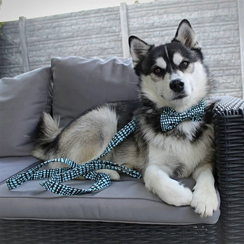 HTB13J6XcL1G3KVjSZFkq6yK4XXag