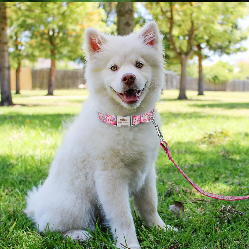 Ошейник для собак с индивидуальной гравировкой и именем ID|Наборы| |