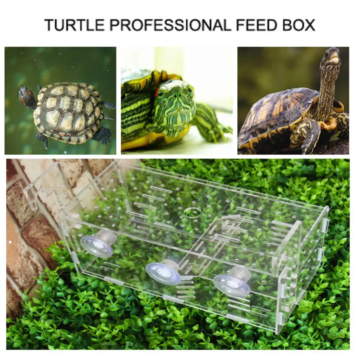 

Hot 2 in 1 Fish Turtles Aquariums Acrylic Tortoise Isolation Box Fish Tank Baffle Easy Handle Fry Breeding Box Aquatic Pet Suppl