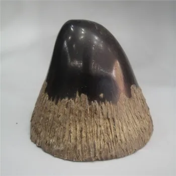 

Tibet of yak horn Natural black ox horn Original Horns tip