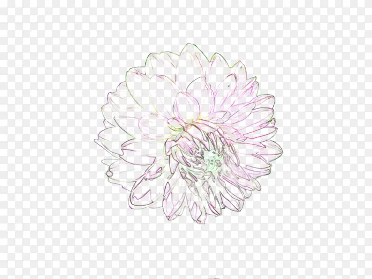 桌面壁纸摄影 水彩白花png图片素材免费下载 图片编号 Png素材网 桌面壁纸摄影 水彩白花png图片素材免费下载 图片编号 Png素材网