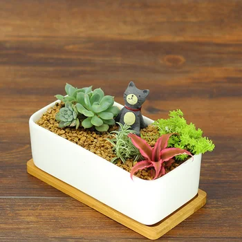 

Decorative Mini White Rectangular Sucuulent Flower Pot White Cactus Plant Pot with Wooden Tray