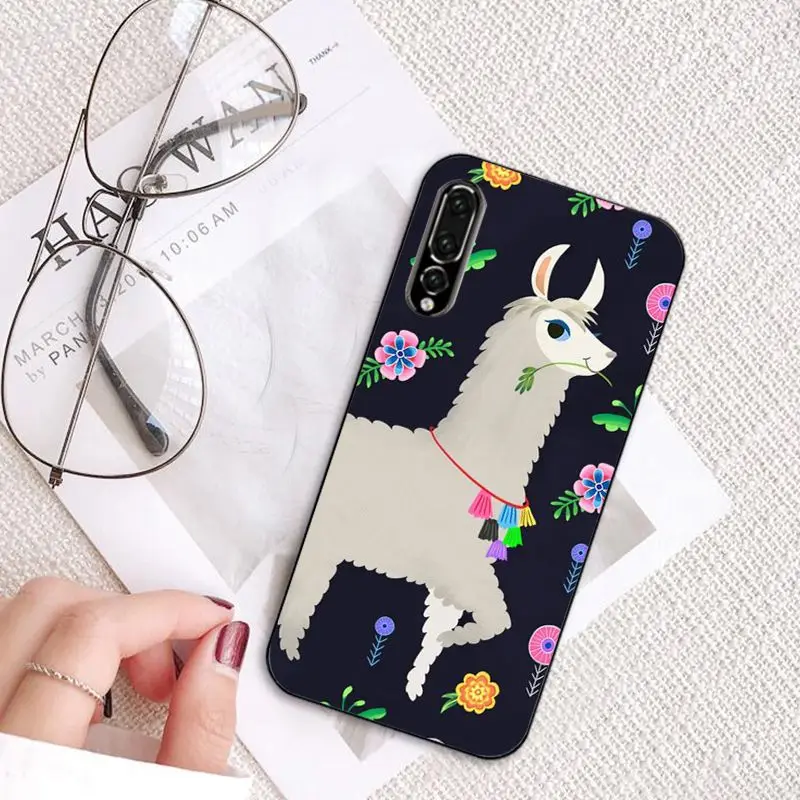 Cartoon Lama Llama Alpacas Animal