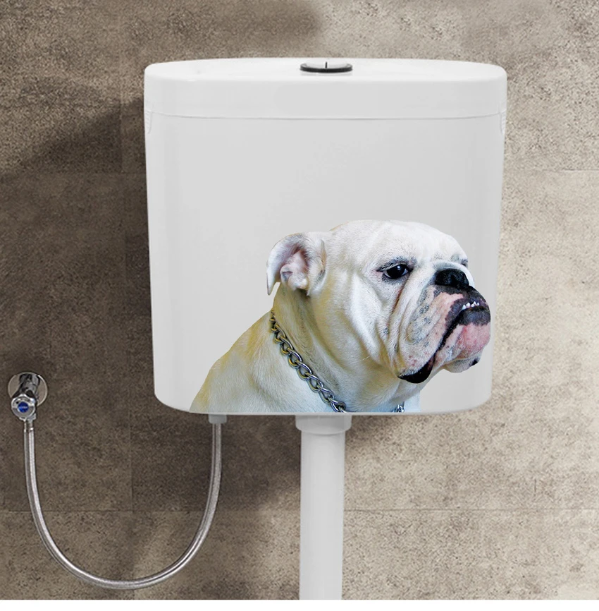 HTB18OVLa3aH3KVjSZFjq6AFWpXaR