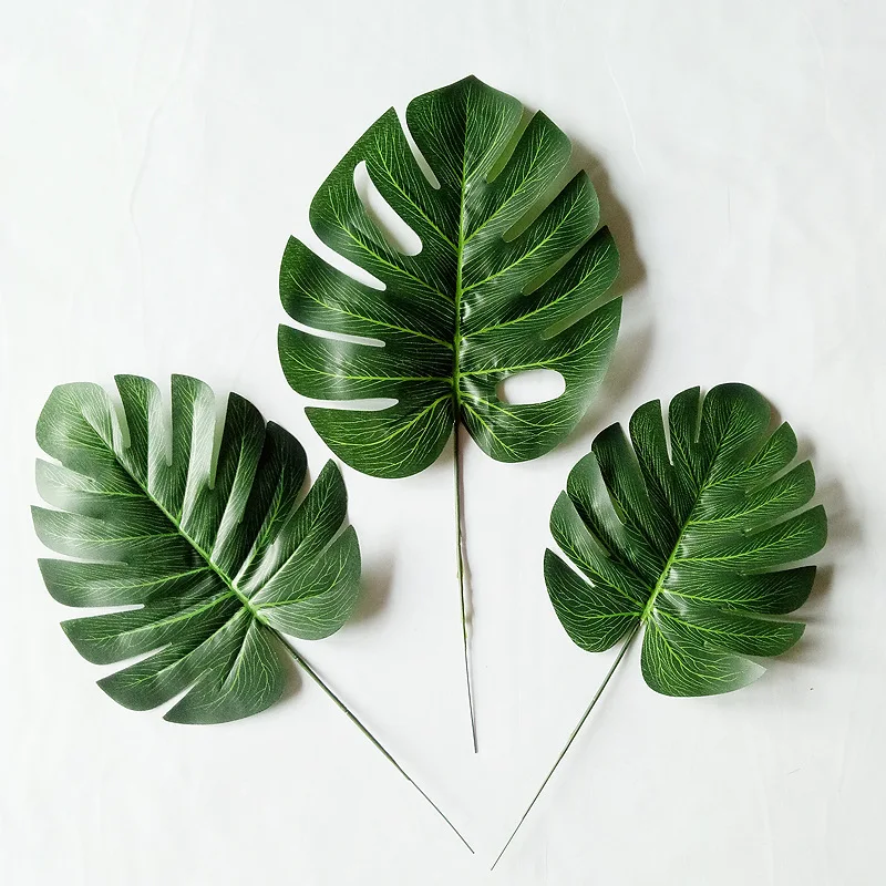 11333670332_1814581953