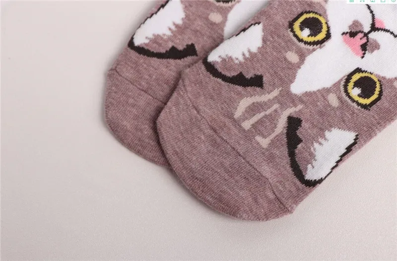 QQ截图20200415233758