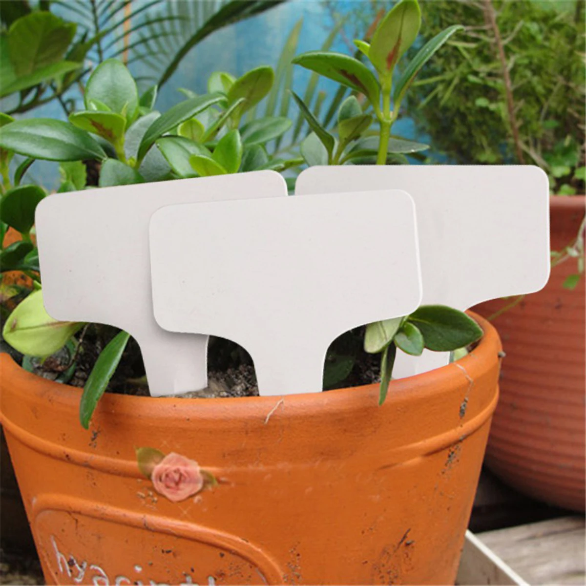 100PCS Plant Tag T-shaped Plastic Sign Card Garden Plant Label Flower Thick Mark Label Mark Garden Decoration Ornaments