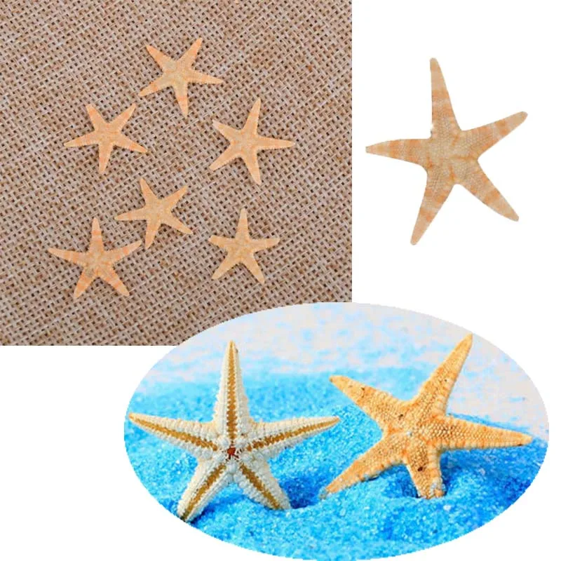 Natural Shell Ornaments 5/25/50pcs Mini Starfish Shell Craft Decoration Sea Stars DIY Beach Cottage Wedding Decor sea shells party sea conch
