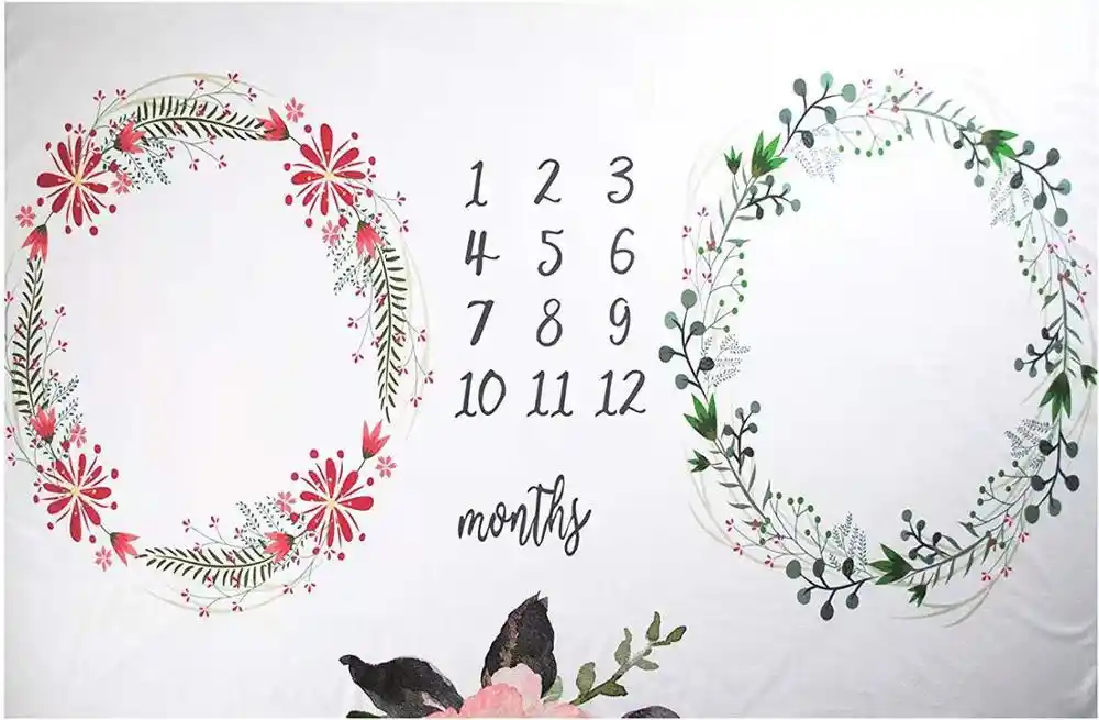 milestone blanket for twins