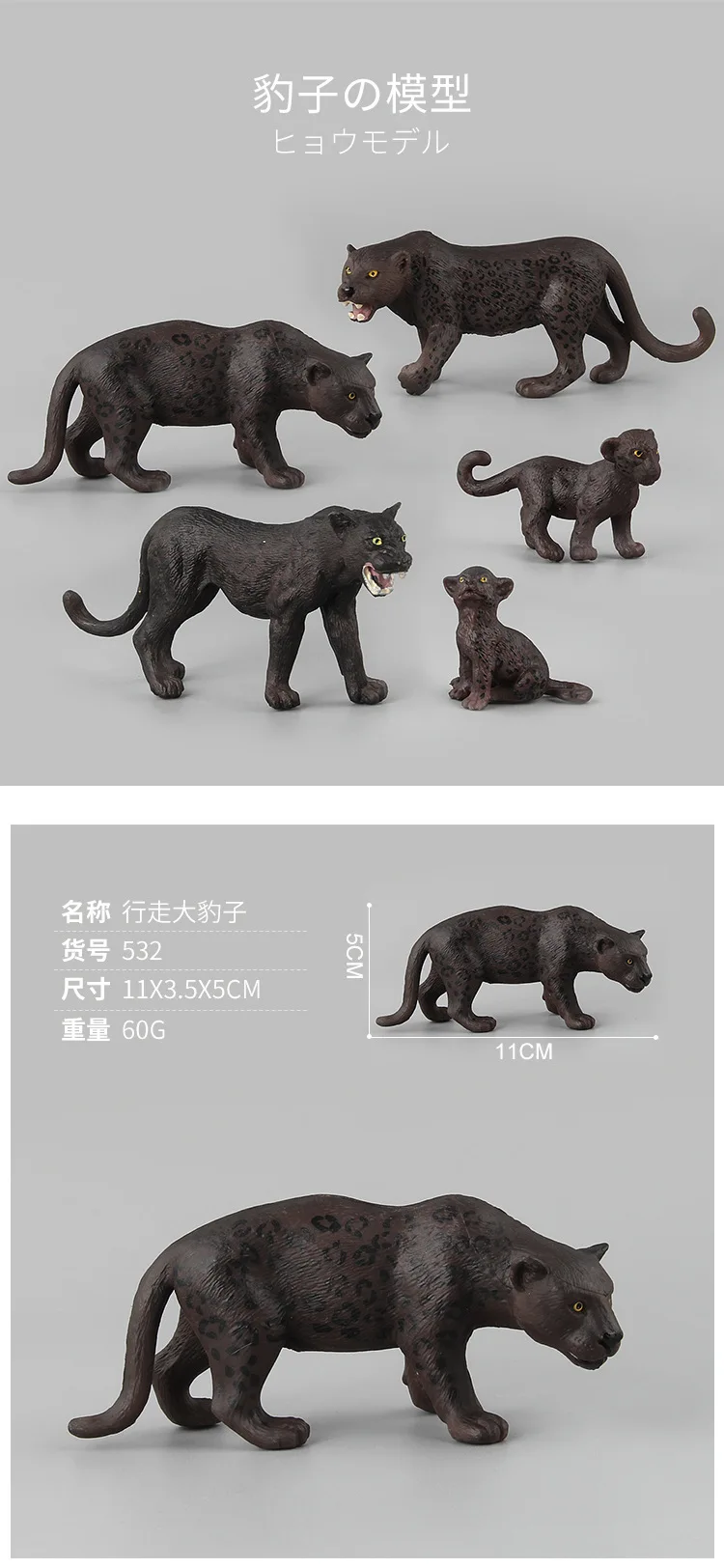 9109451160_1793268619