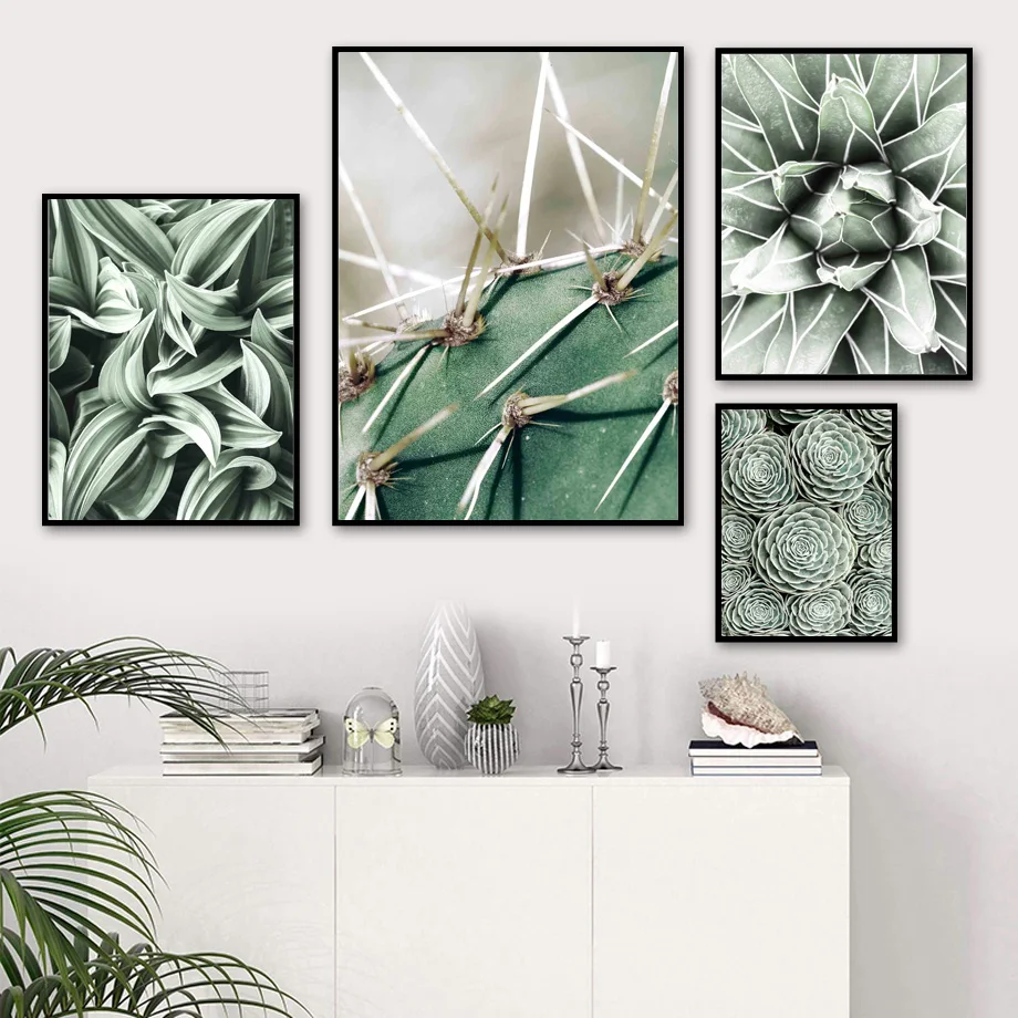 Настенная картина Agave Victoriae-reginae кактус суккулент постеры и принты на холсте в
