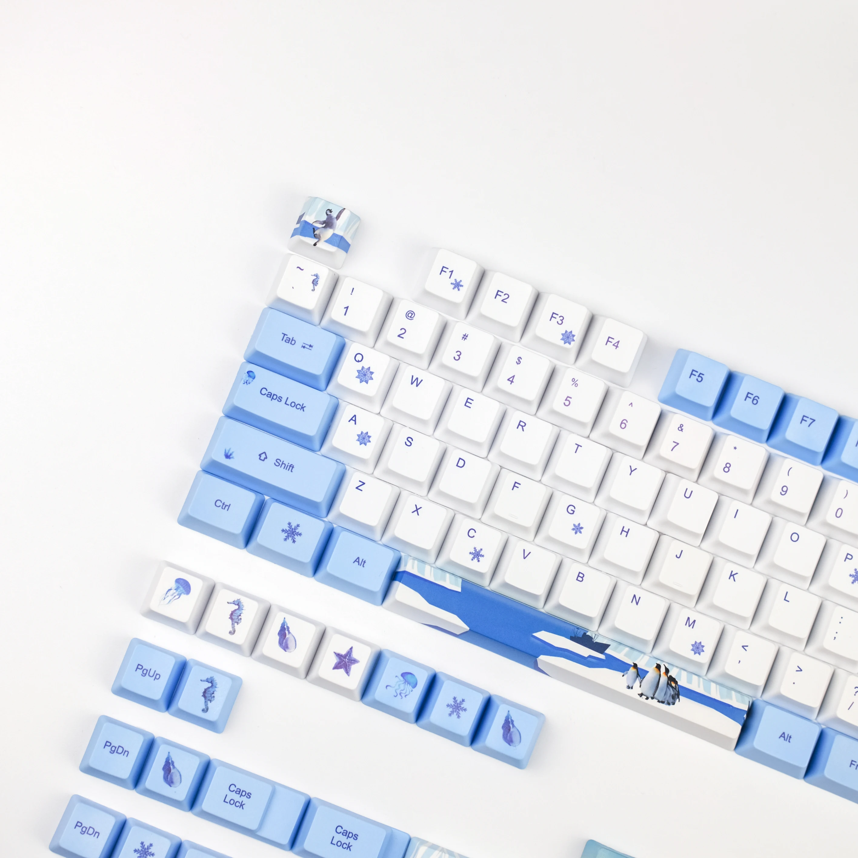 正規取扱店 104 キー ペンギン Oem プロファイル Pbt キーキャップ トッププリント染料昇華スイッチ チェリ クリアランス Farmerscentre Com Ng