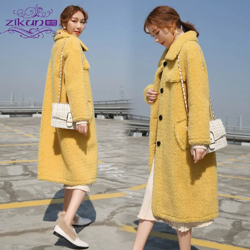 

Women's thick coat 2019 spring and autumn new plush fluffy coat long imitation lamb fur coat