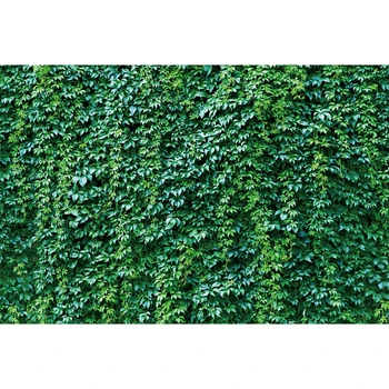 

Spring Tropical Plant Green Grassland Vine Leaves Baby Shower Birthday Backdrop Vinyl Photography Background For Photo Studio