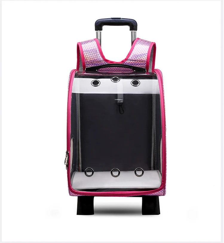 HTB1ZnmJbBiE3KVjSZFMq6zQhVXag