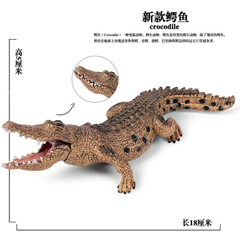 Model Solid Wild Animal Model CHILDREN'S Toy Model BoarCroc Crocodile Car Mounted Decorations And Ornaments Garage Kit