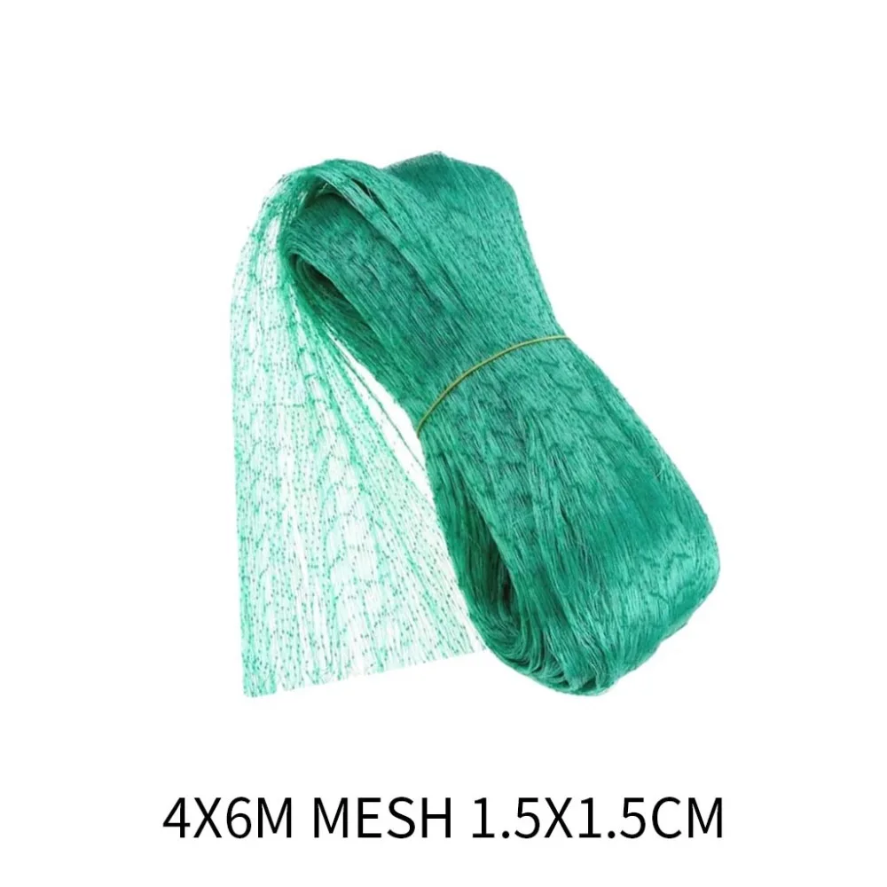 4 - FJC200609820_1113297778515046542