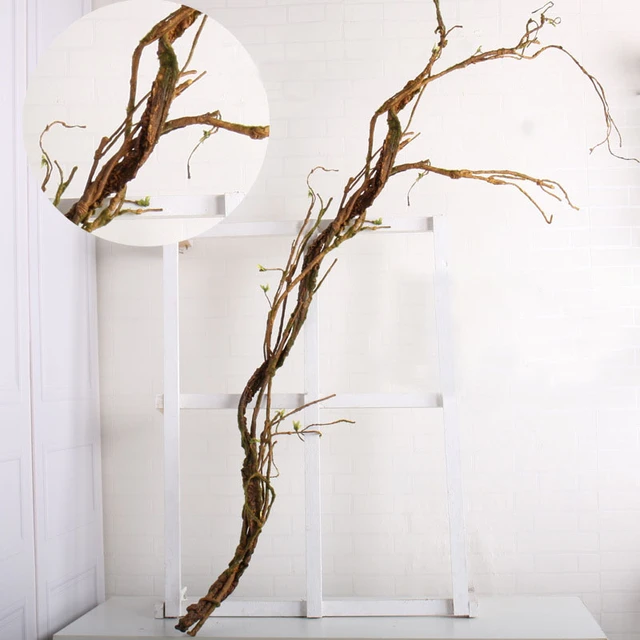Update more than 80 real tree branch wall decor vova.edu.vn