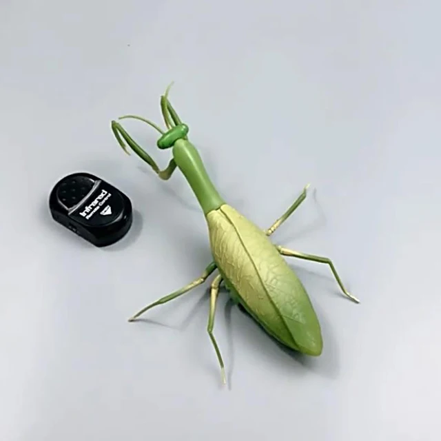 RC Animal Robot Antistress Insect Toys Infrared Simulation Spider Bee fly mantis Electric Toy for Children Prank Insects pet toy 2