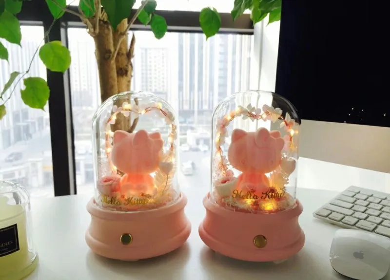 New Japan Hello Kitty Presrved Fresh Flower