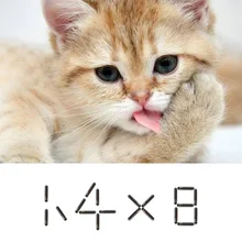 ISO11784 40 шт Биохимический стеклянный чип 1,4*8 мм 2*12 мм идентификационная бирка для собак Rfid микрочип для домашних животных 1,25*7